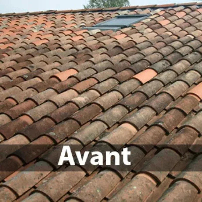 avant un démoussage de couverture