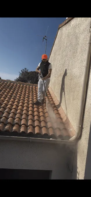 lavage de toit villa