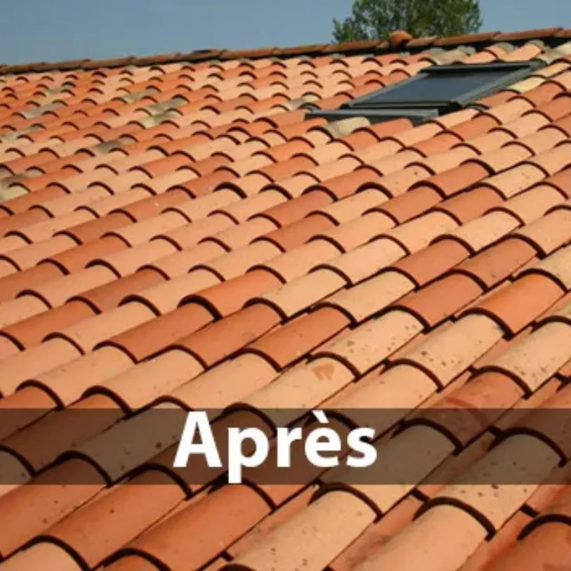 après un démoussage de toit